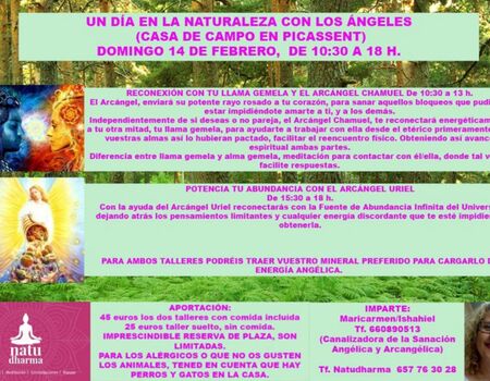 Imagen del evento