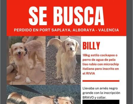 Imagen del evento