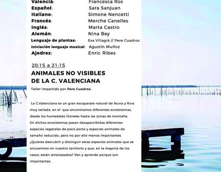 Imagen del evento