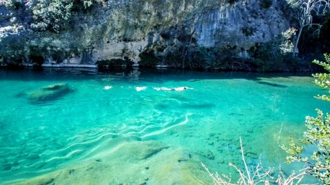 Charco El Gruñidor, Sot de Chera