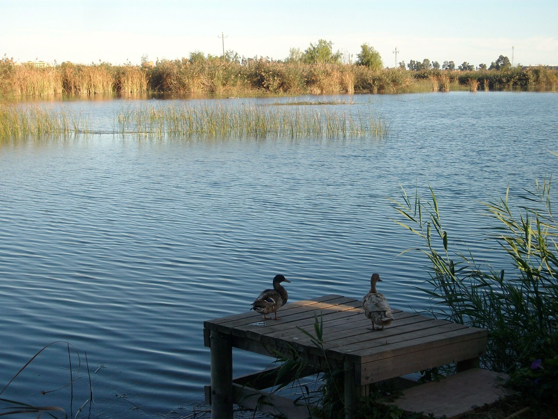 Estanys de Almenara