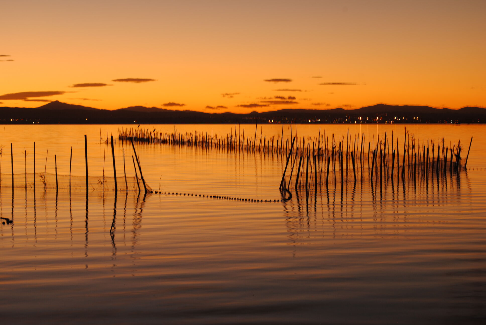 La Albufera