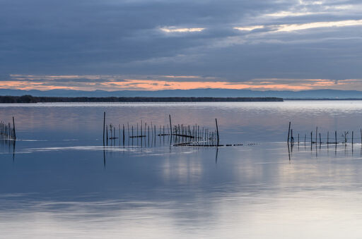 Mirador de la Albufera