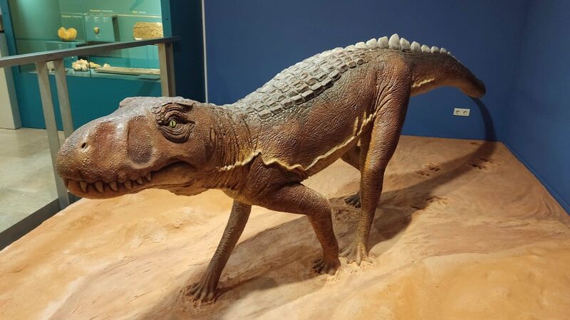 Museo de Ciencias Naturales