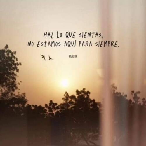 Foto extra 2
