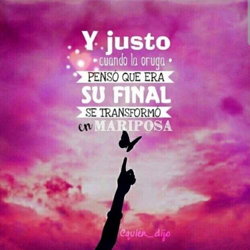 Foto extra 8