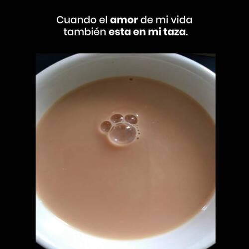 Foto extra 1