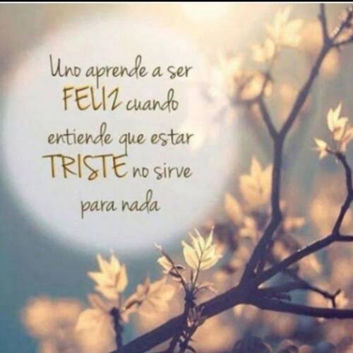 Foto extra 5