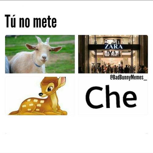 Foto extra 1