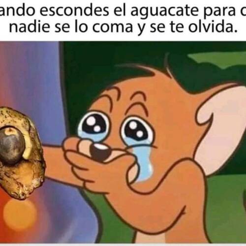 Foto extra 1