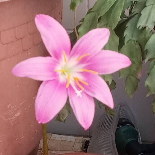 Foto extra 2