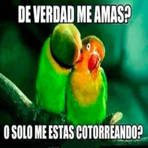Foto extra 1