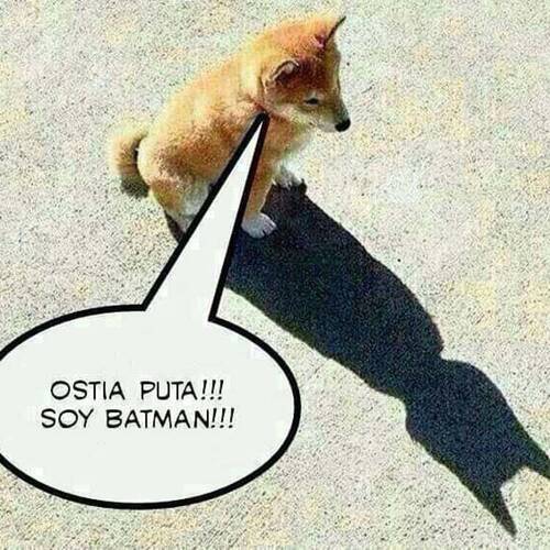 Foto extra 4