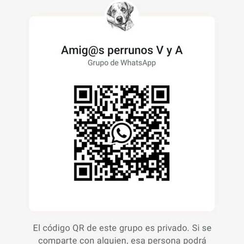 Foto extra 3