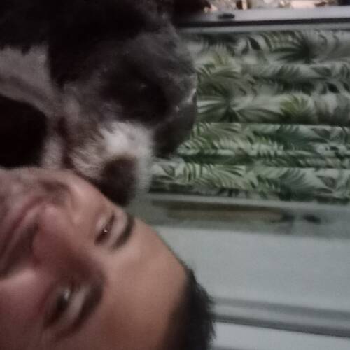 Foto extra 1