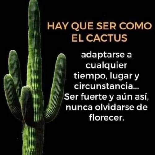 Foto extra 1