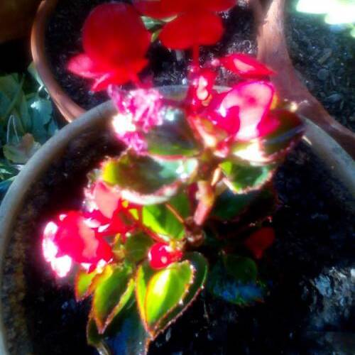 Foto extra 1