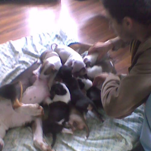 Foto extra 1