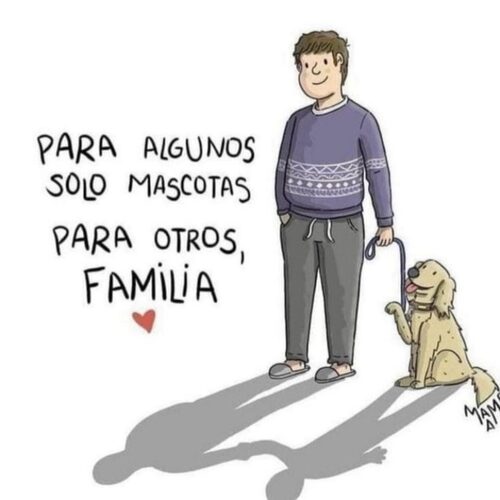 Foto extra 2