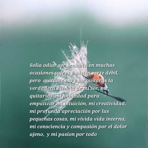 Foto extra 4