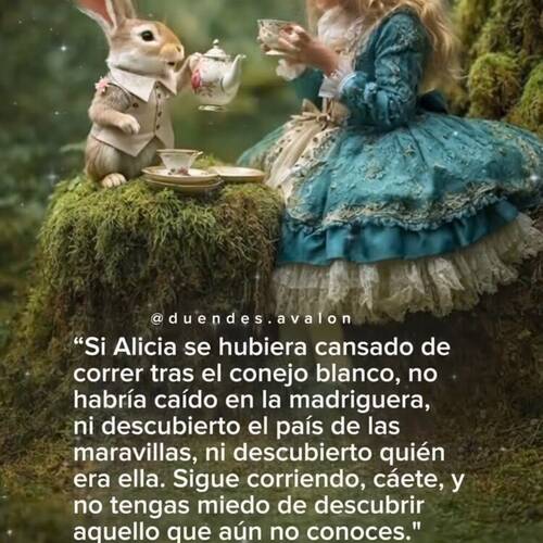 Foto extra 9