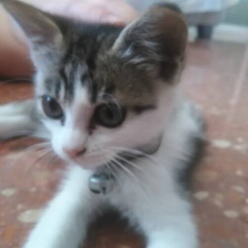 Foto extra 2