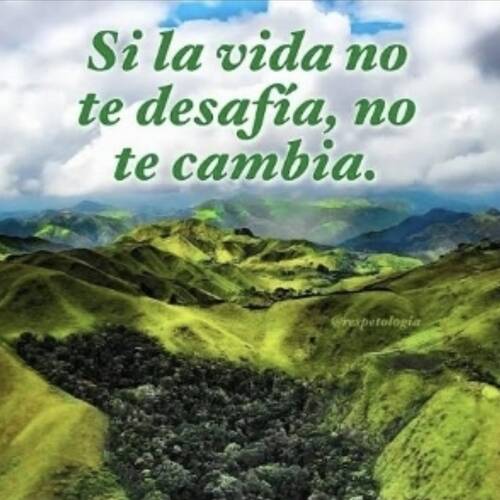 Foto extra 11