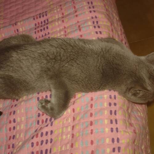 Foto extra 2