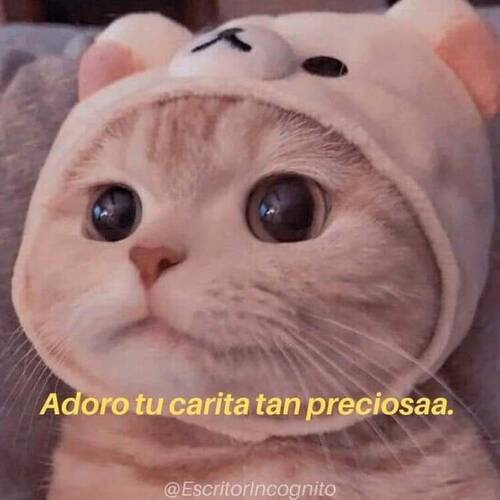 Foto extra 1