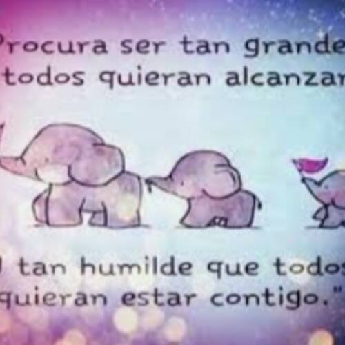 Foto extra 4