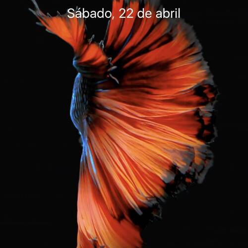 Foto extra 1
