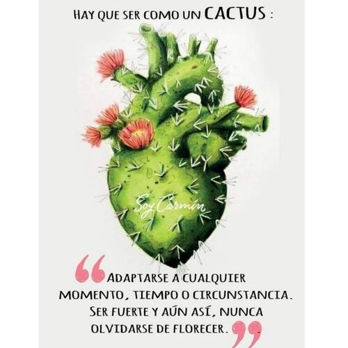 Foto extra 4