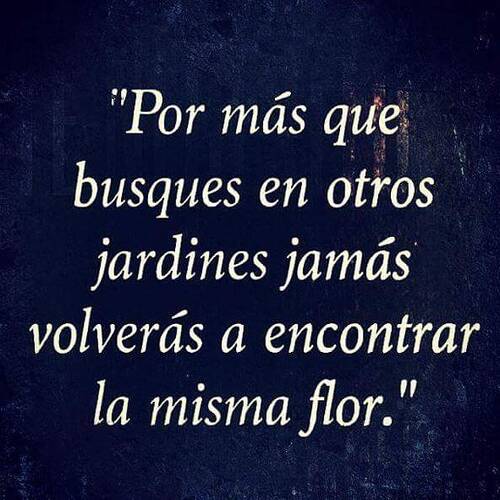 Foto extra 5