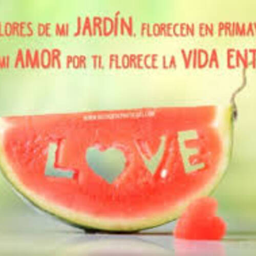 Foto extra 1