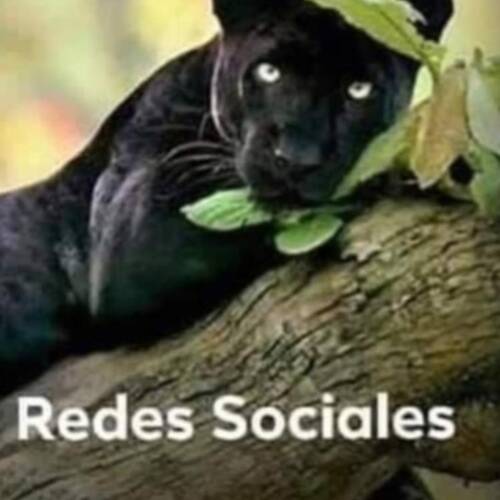 Foto extra 6