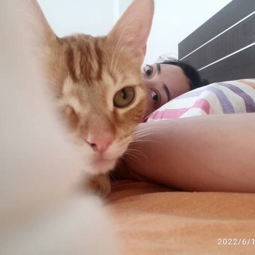 Foto extra 1