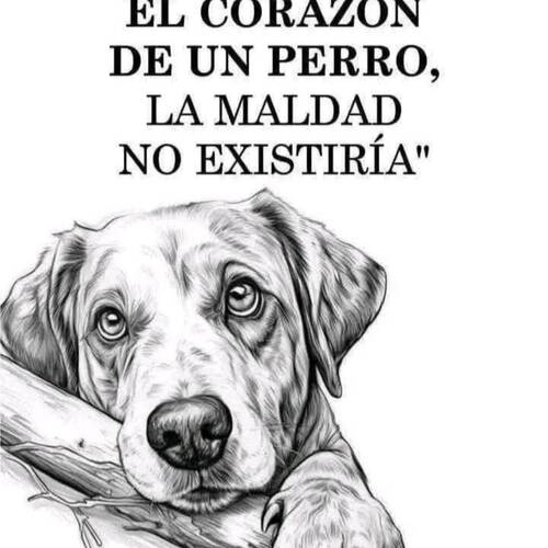 Foto extra 1