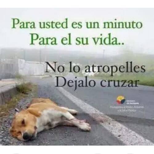 Foto extra 2