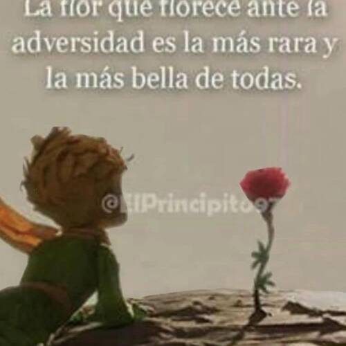 Foto extra 1
