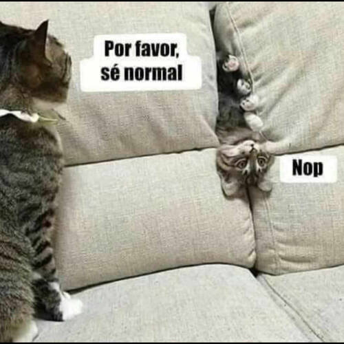 Foto extra 1