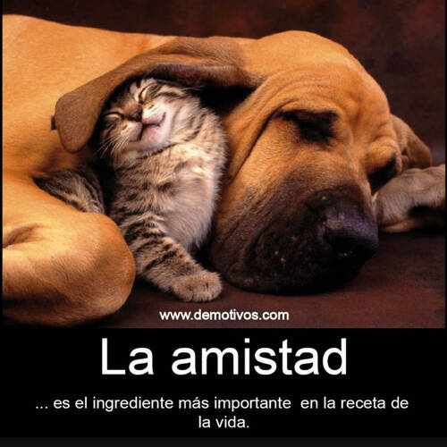 Foto extra 4