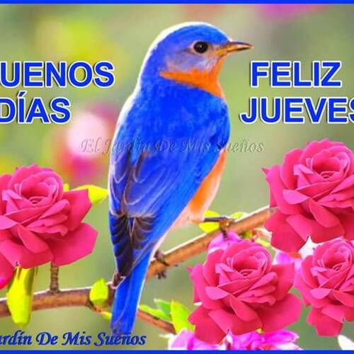 Foto extra 6