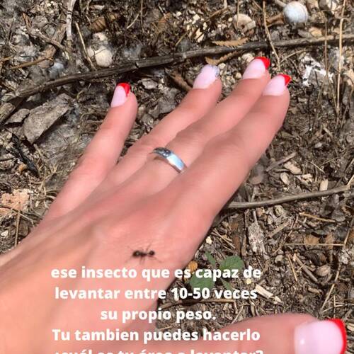 Foto extra 2