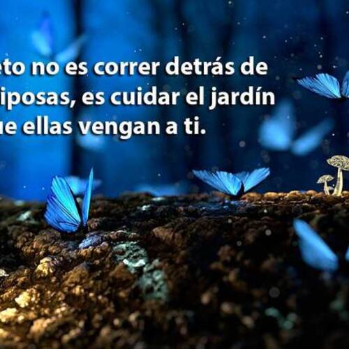 Foto extra 1