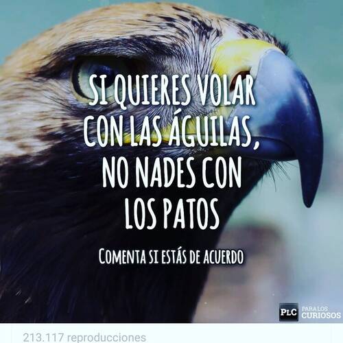 Foto extra 3
