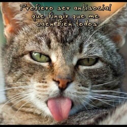 Foto extra 4