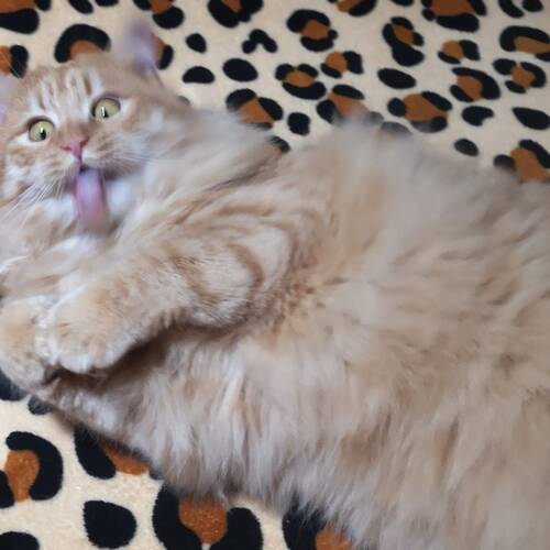 Foto extra 2