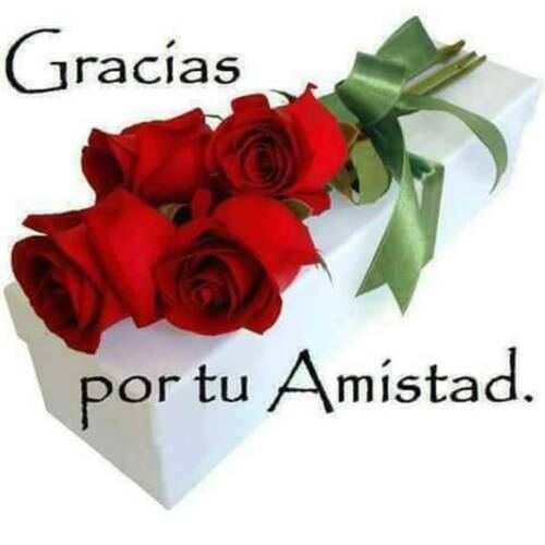 Foto extra 5