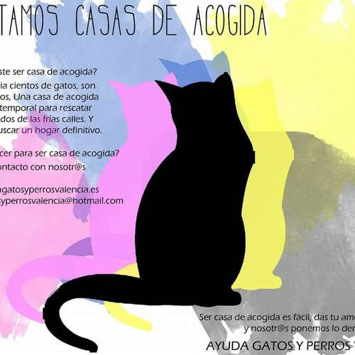 Foto extra 8