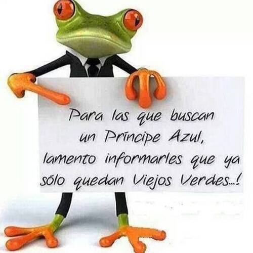 Foto extra 2